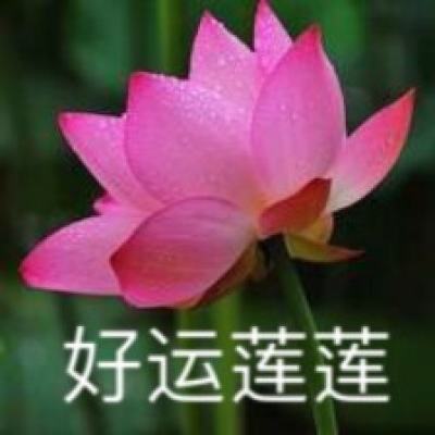2024公募基金领军人物TOP榜：景顺长城基金康乐排名第19